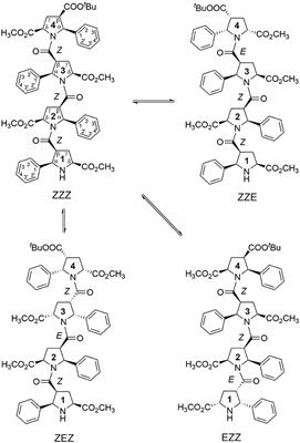 Theoretical and NMR Conformational Studies of β-Proline Oligopeptides With Alternating Chirality of Pyrrolidine Units